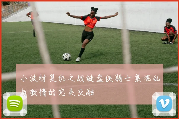 小波特复仇之战键盘侠骑士集混乱与激情的完美交融