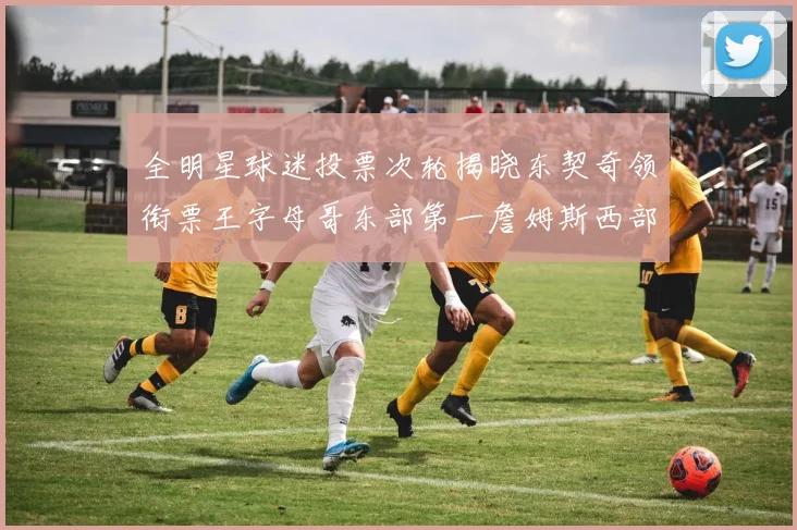 全明星球迷投票次轮揭晓东契奇领衔票王字母哥东部第一詹姆斯西部第八