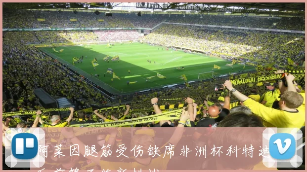 阿莱因腿筋受伤缺席非洲杯科特迪瓦前锋面临新挑战